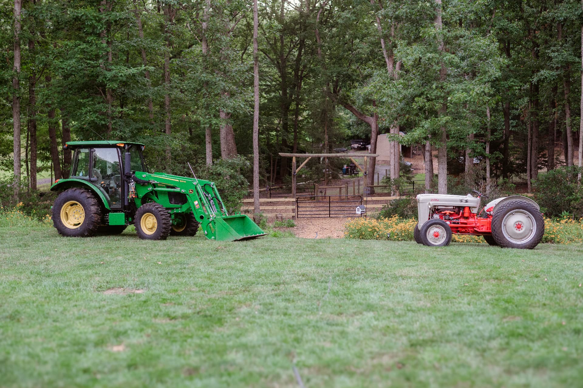 A green tractor and a vintage red tractor on the lawn